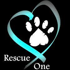 rescue-one.jpg